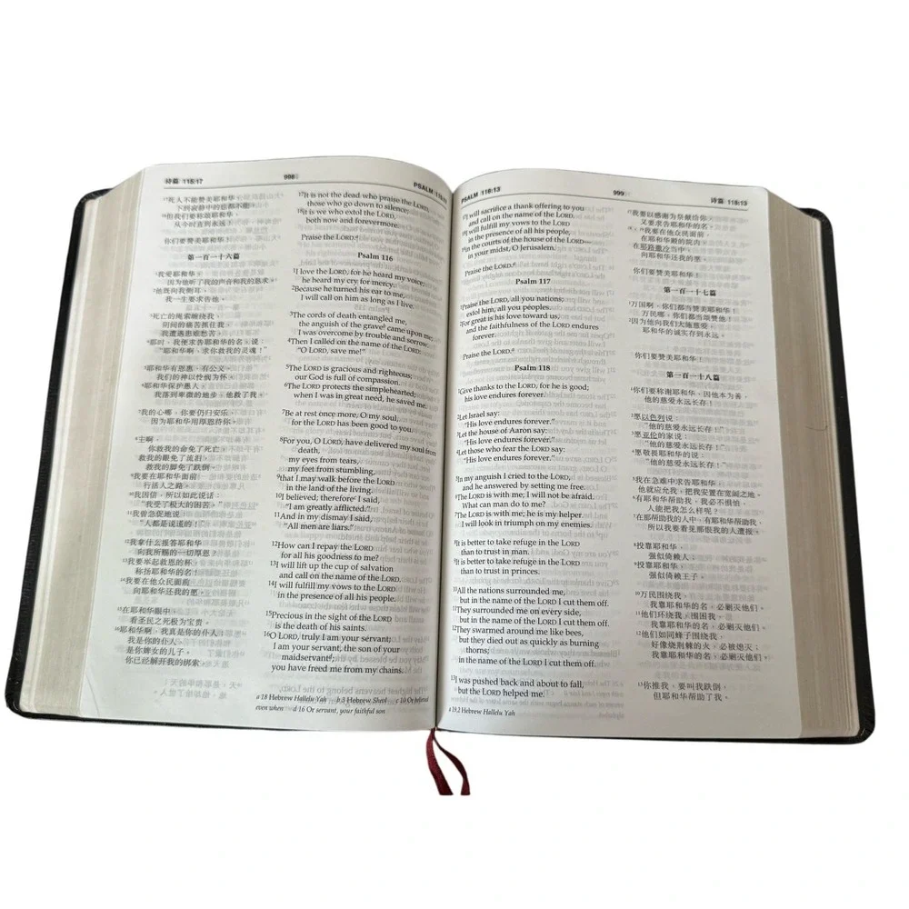 Chinese English Holy Bible NIV‎ 1996 Bilingual Softcover Study Devotional